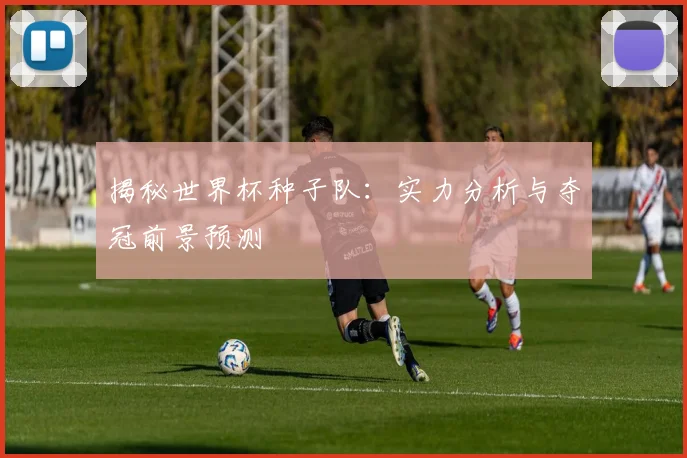 揭秘世界杯种子队：实力分析与夺冠前景预测